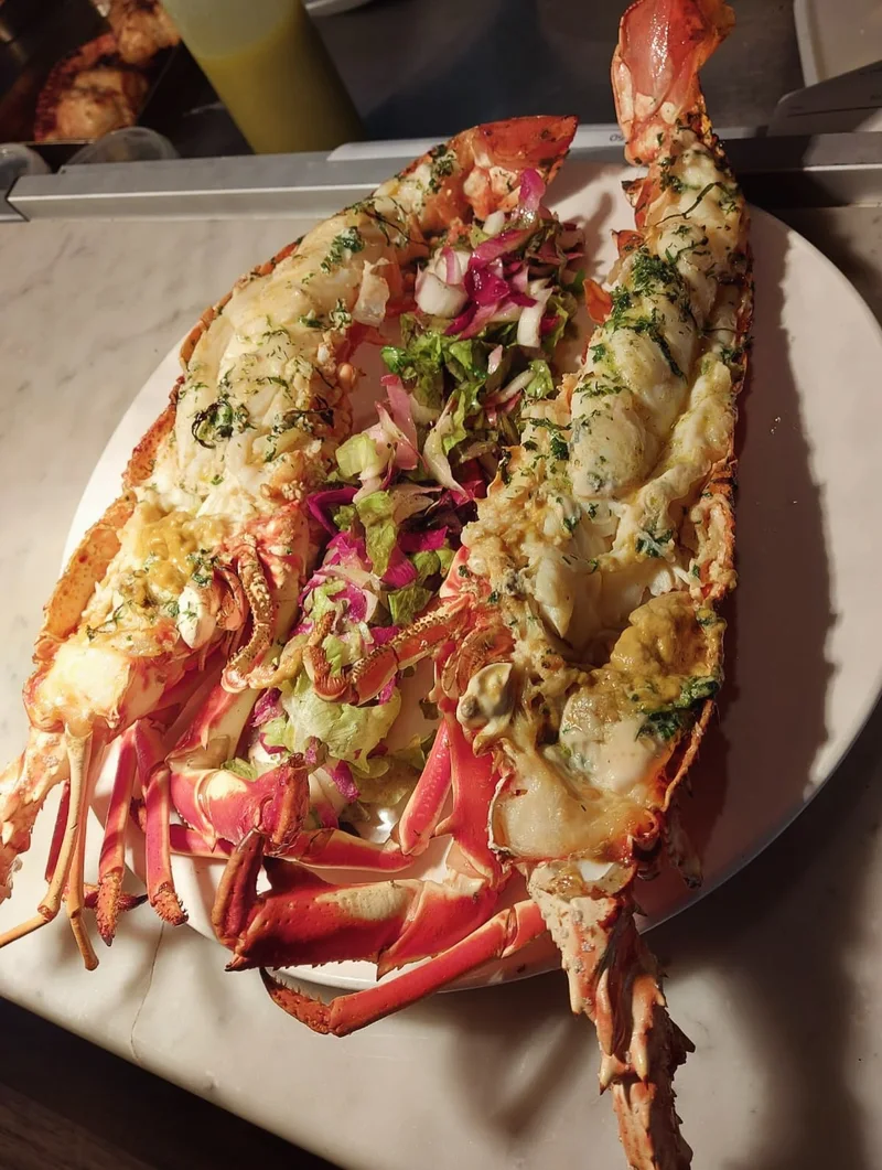 A cooked lobster served with herbs and salad on a white plate